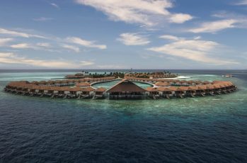 CINNAMON VELIFUSHI