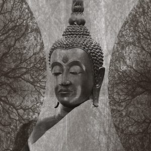 Thailandia - Ayutthaya buddha