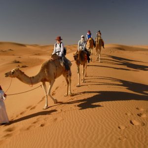passeggiata in cammello nel deserto