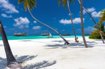 Gili Lankanfushi spiaggia