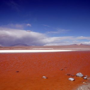 Bolivia laguna colorata nelle Ande