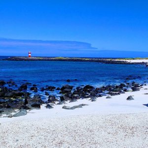 Ecuador - Isole Galapagos - isola Santa Cruz panorama di una spiaggia