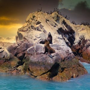 Isola Ballestas