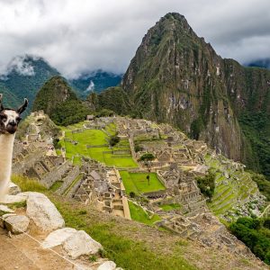 Machu Picchu panorama